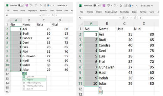 Langkah Cara Membuat Nomor di Excel